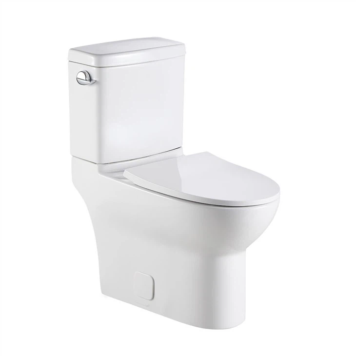 Smart flush toilet