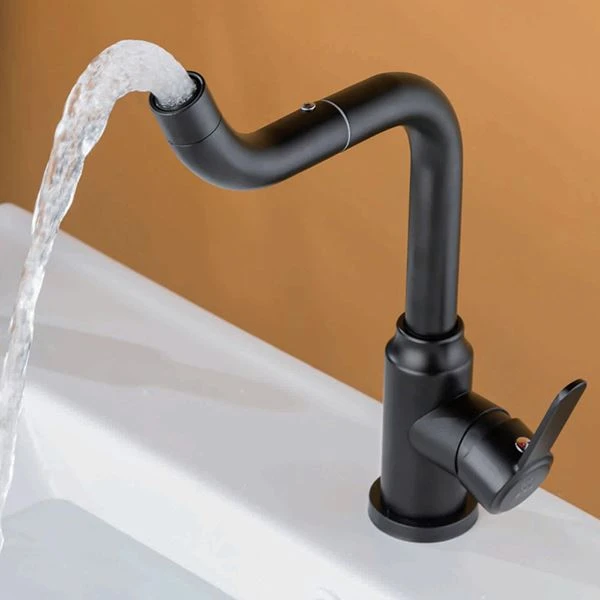 Црна ротална славина